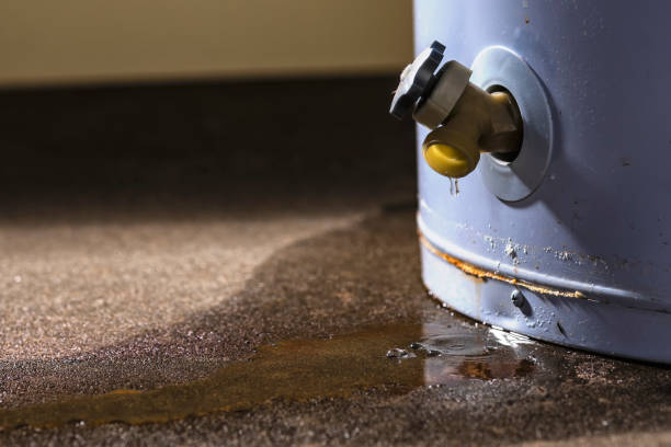 Best Water damage cleanup near me  in West Bend, WI