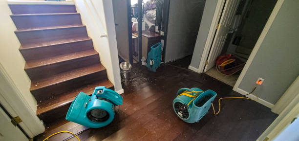 Best Flood restoration services  in West Bend, WI