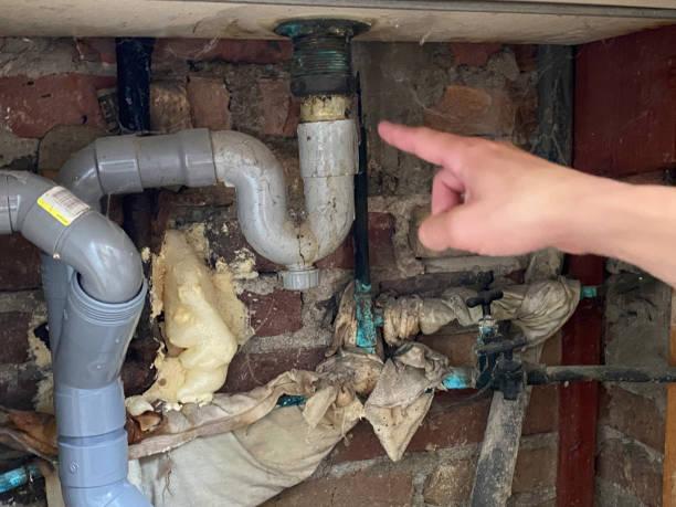Best Mold removal after water damage  in West Bend, WI